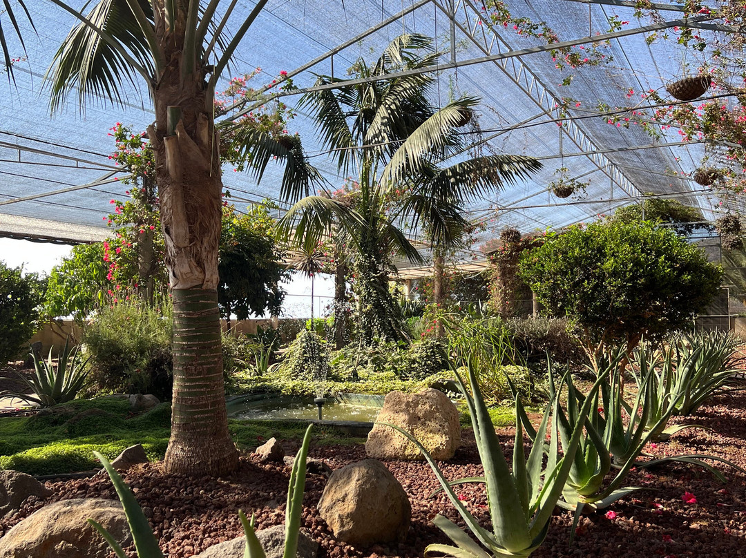 Finca Canarias Aloe Vera-Guimar必去景点