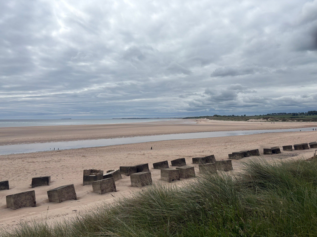 Alnmouth Beach-Alnmouth必去景点