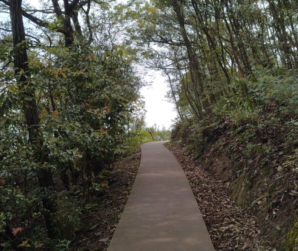 丰岛美术馆-Teshima必去景点
