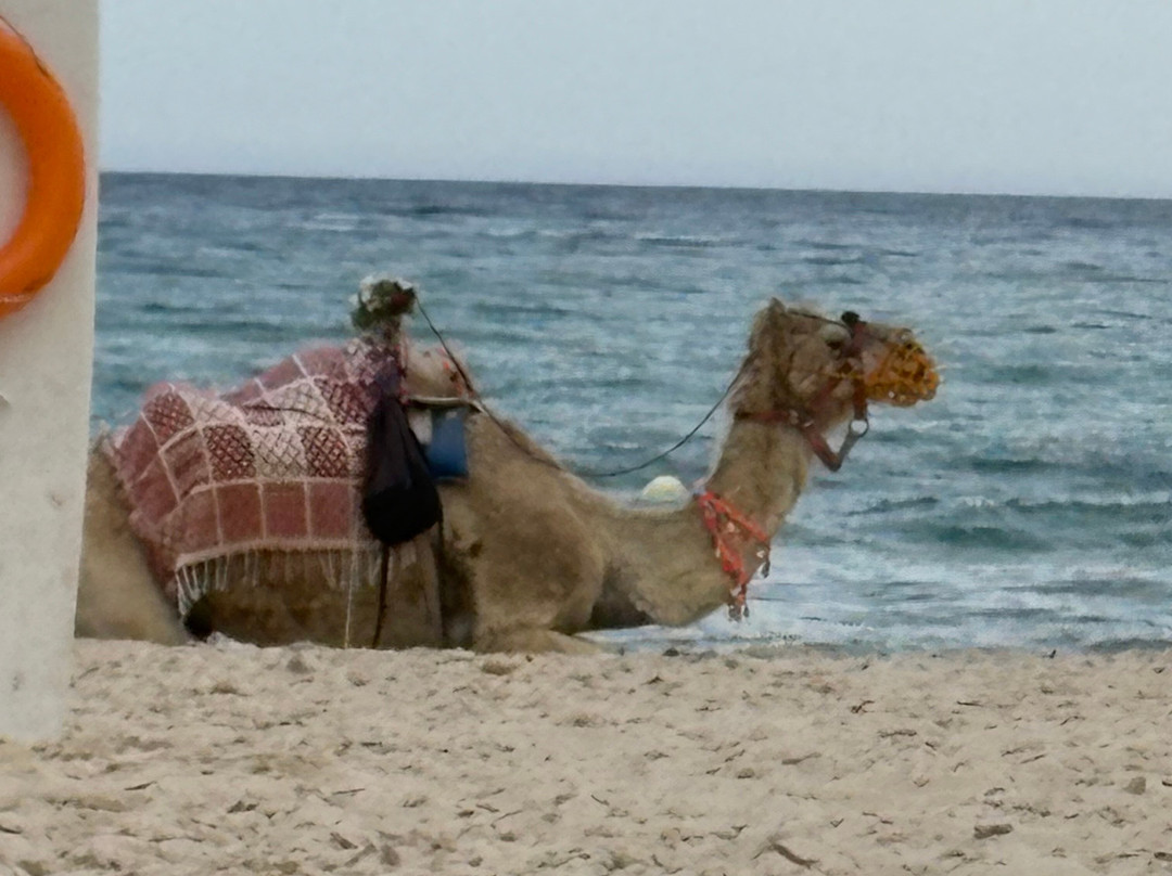 Nahrawess Resort & Thalasso主图