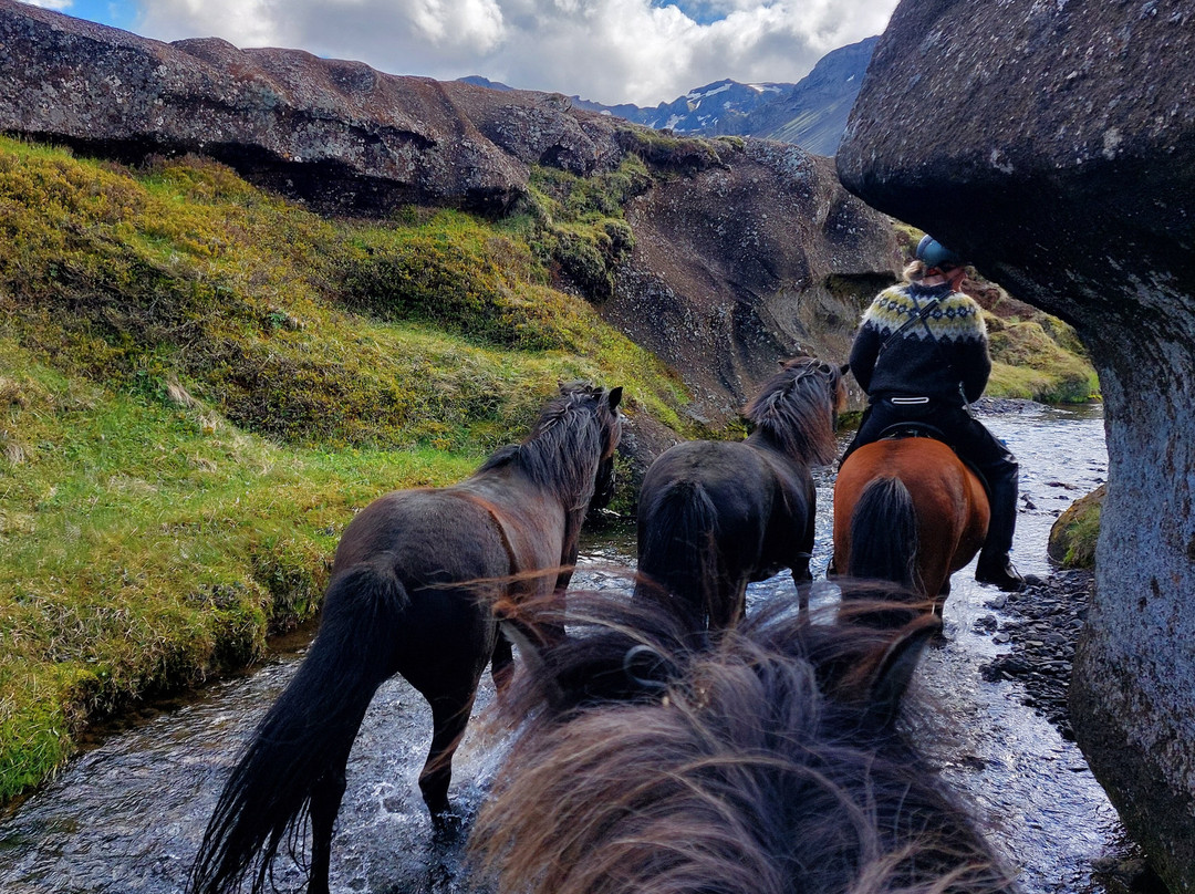 Eldhestar Volcano Horses-Olfus必去景点