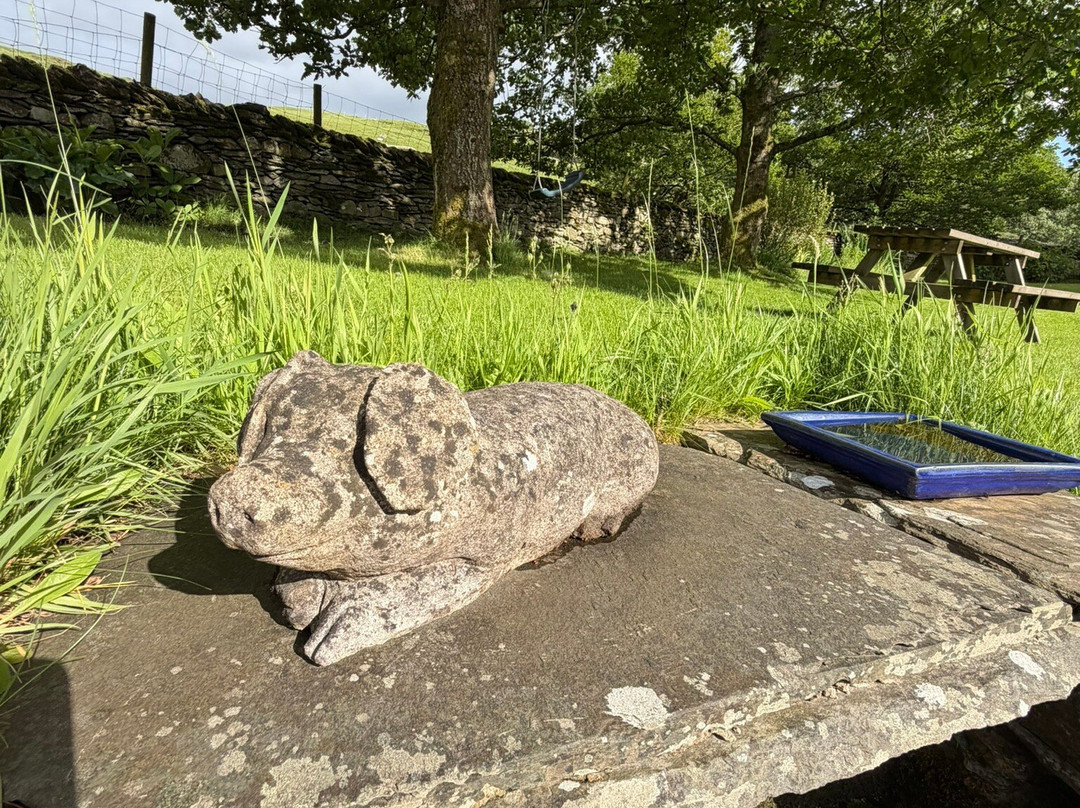 中央史塔佛农场民宿主图