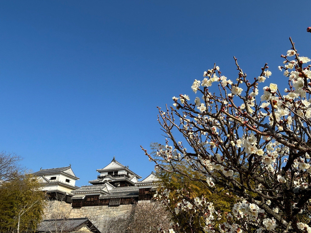 松山城-松山市必去景点