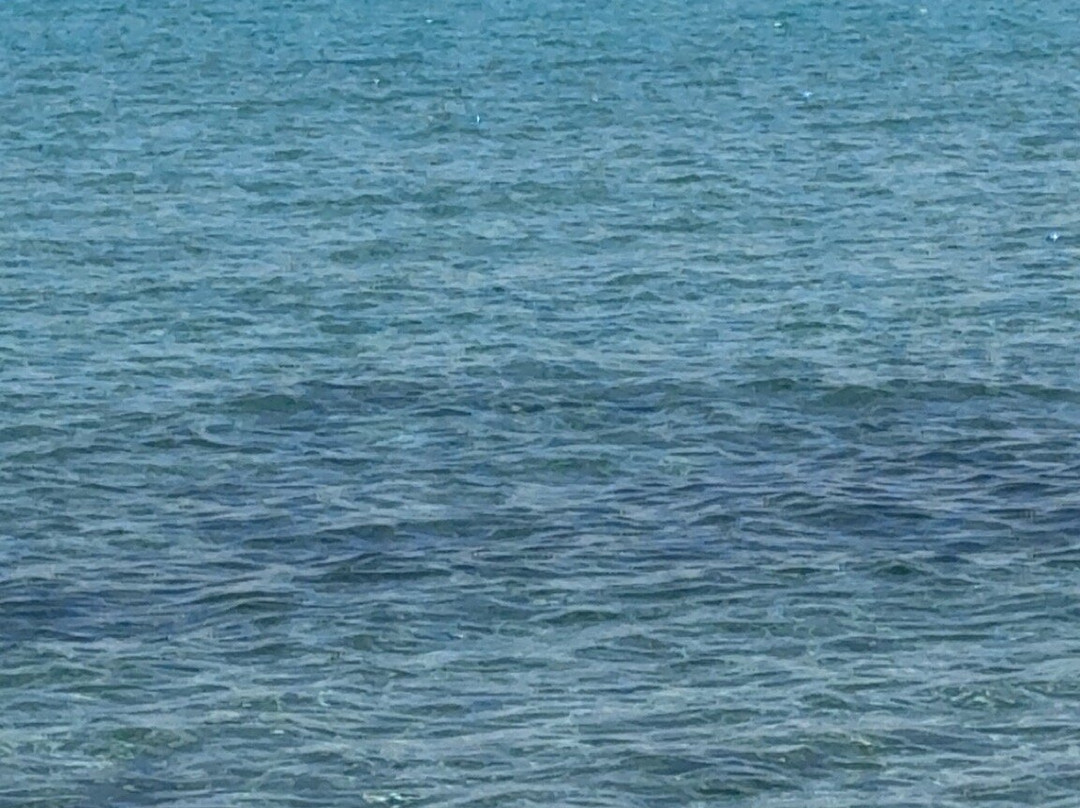 巴隆巴热海滩-维琪奥港必去景点