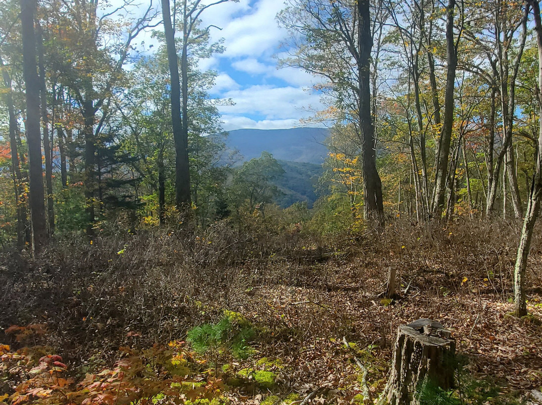 Allegheny Trail-查尔斯顿必去景点