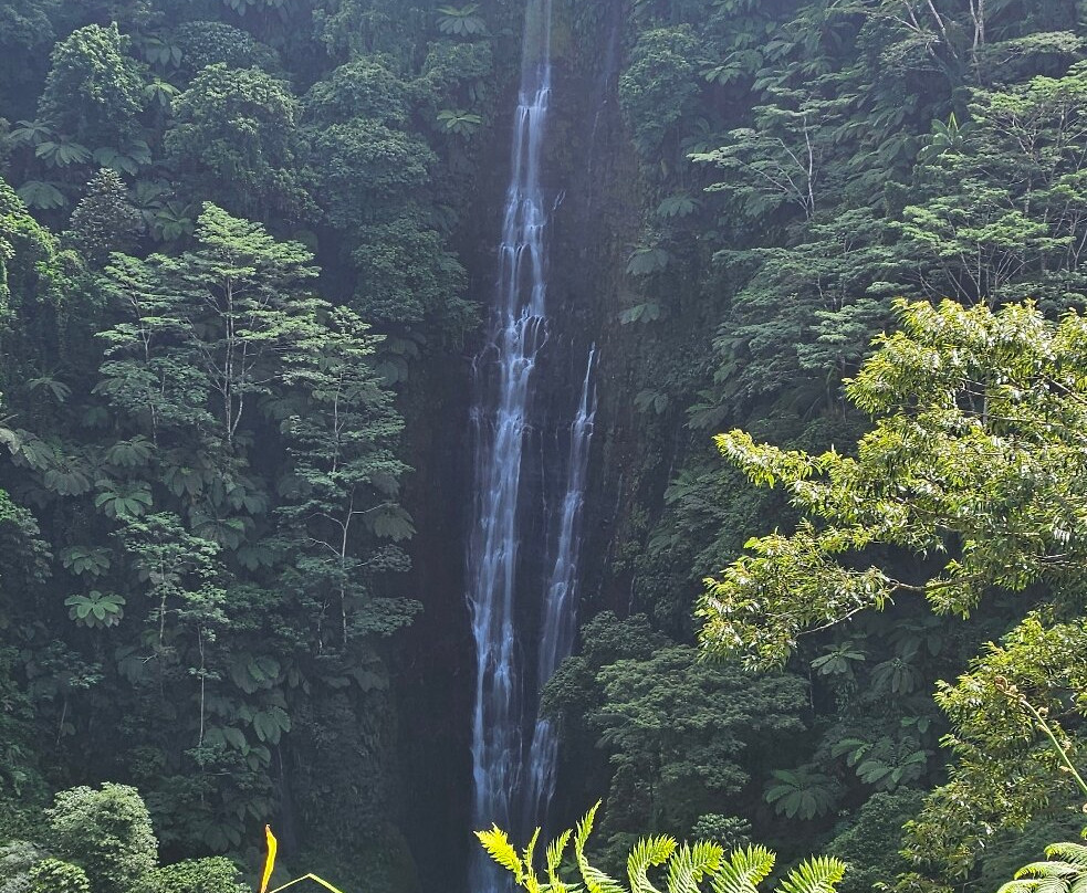 Papapapaitai Falls-阿皮亚必去景点