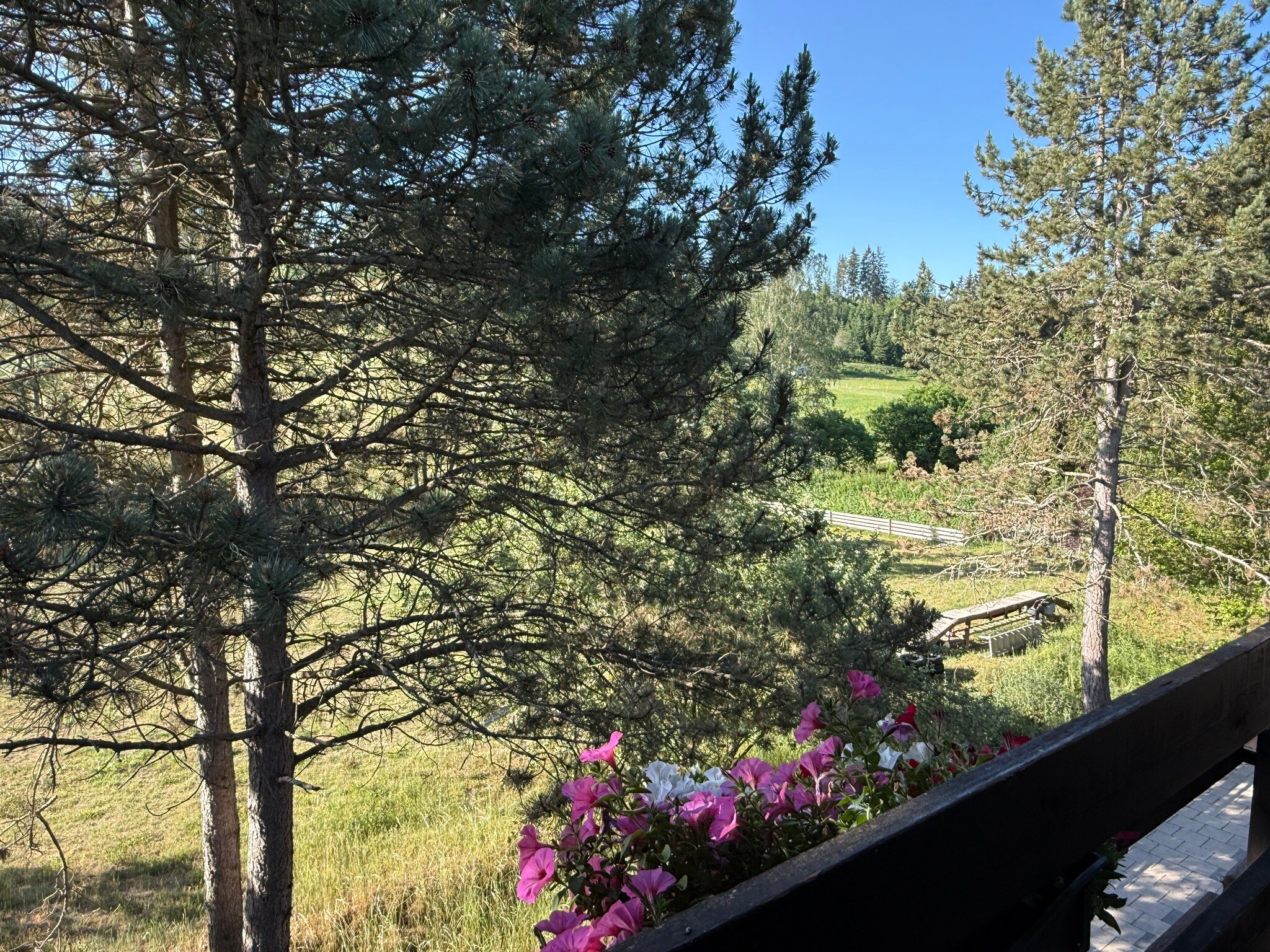 Hotel Tanneneck-旅行者