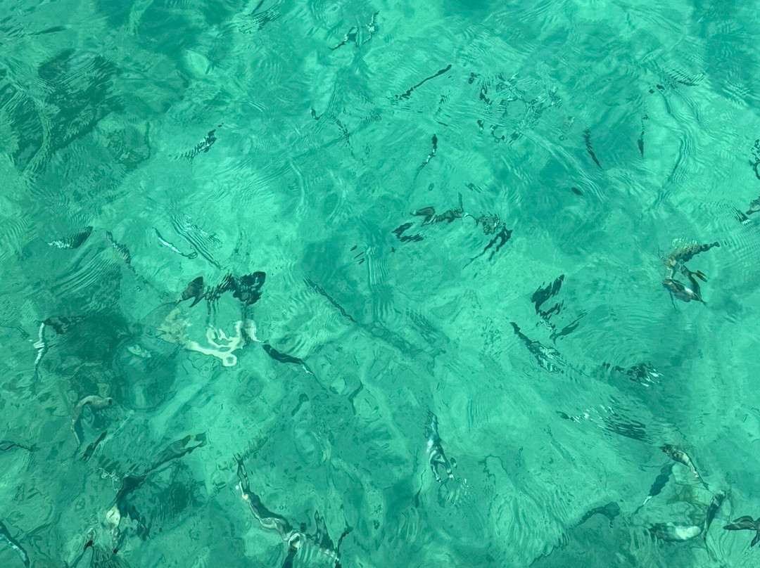 Quattro Gioie-Arzachena必去景点