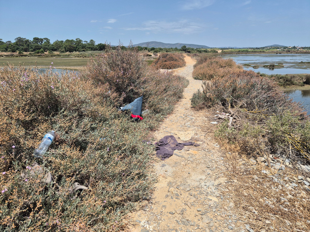 Ria Formosa Natural Park-奥良必去景点