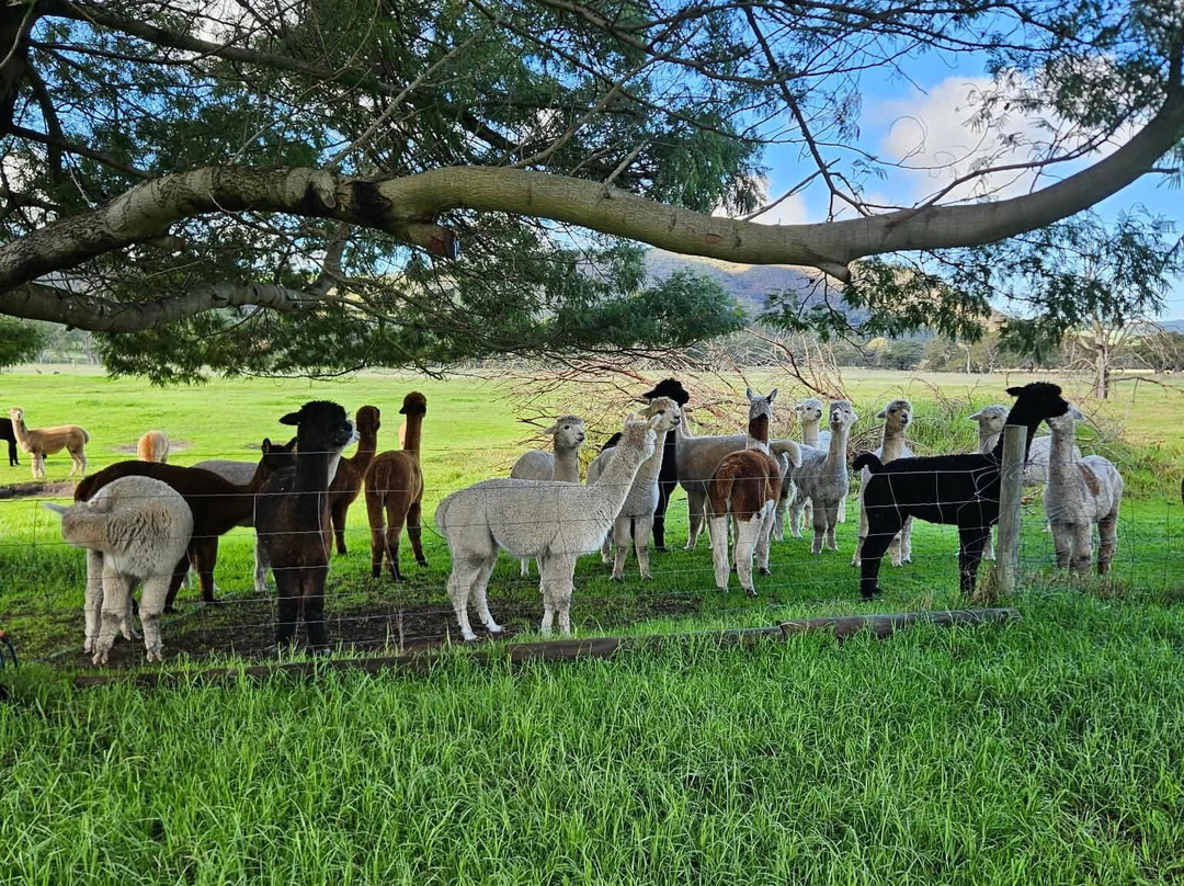 Softfoot Farm & Wildlife Park-Hindmarsh Valley必去景点