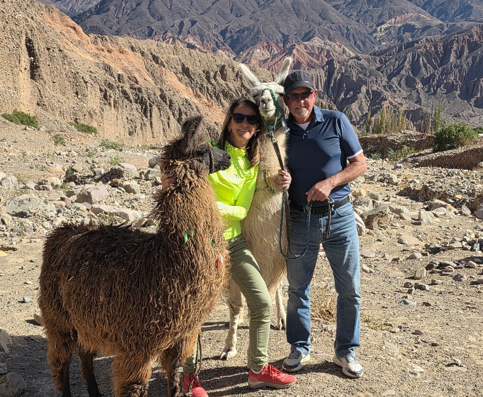 Caravana de Llamas-蒂尔卡拉必去景点