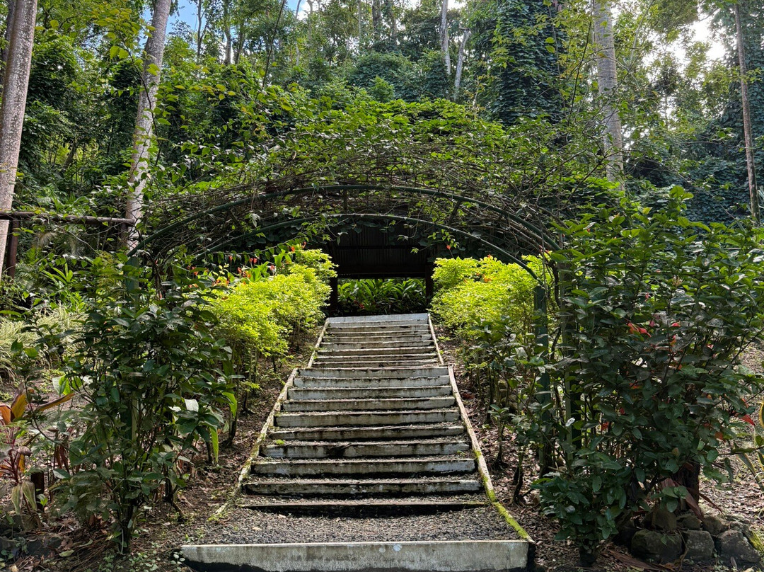 巨人的沉睡花园-纳迪市必去景点