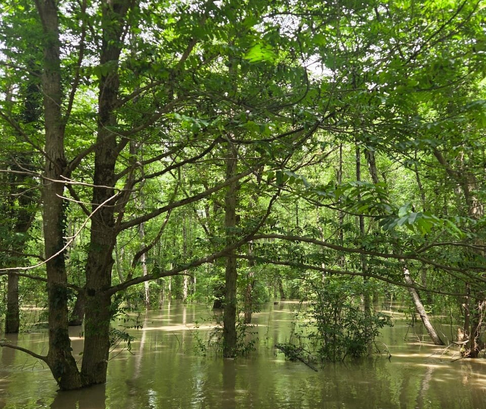 Green Island Poti-Poti必去景点
