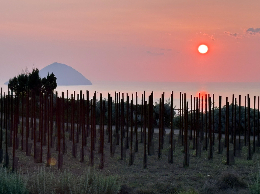 Tenuta Di Castellaro Winery-利帕里必去景点