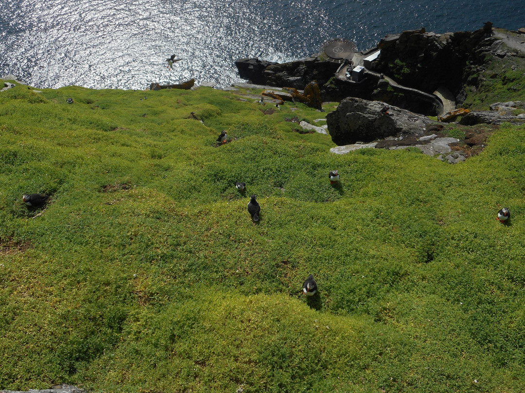 Skellig Tours-Caherdaniel必去景点