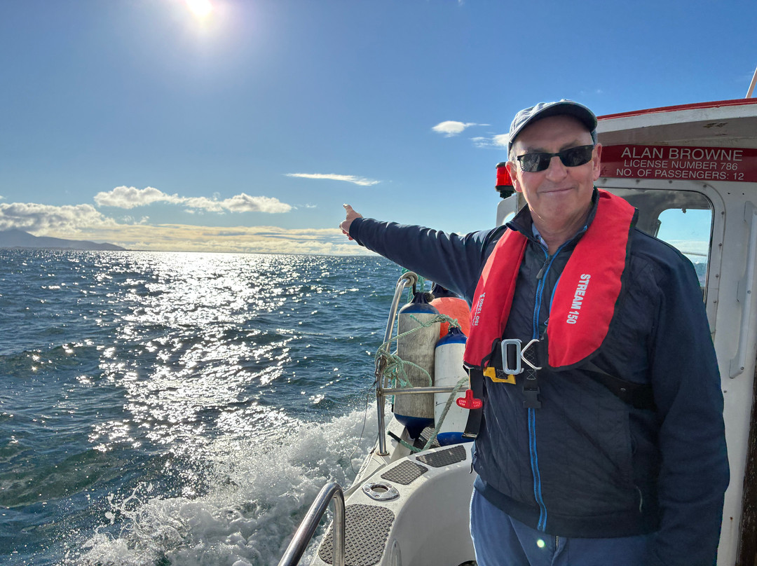 Tralee Bay Experience- Fenit boat tours-Fenit必去景点
