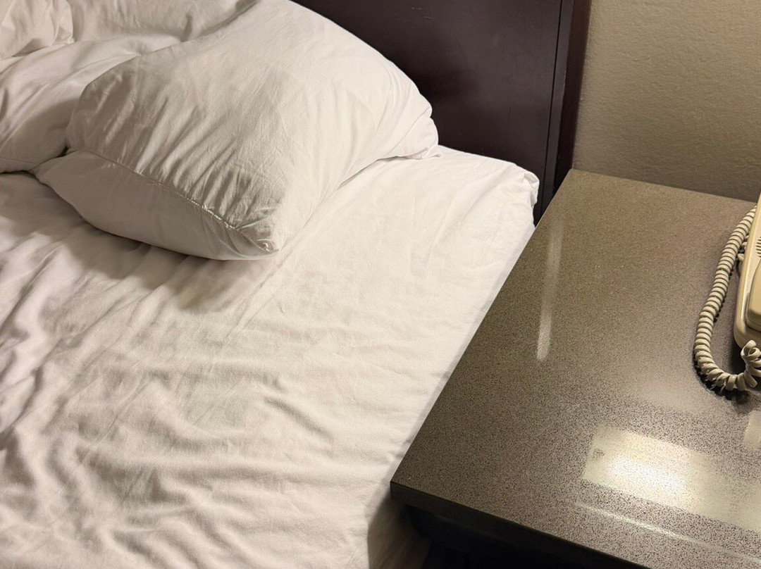 纽瓦克国际机场SpringHill Suites酒店主图