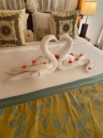Mount Randholee Resorts & Spa-旅行者