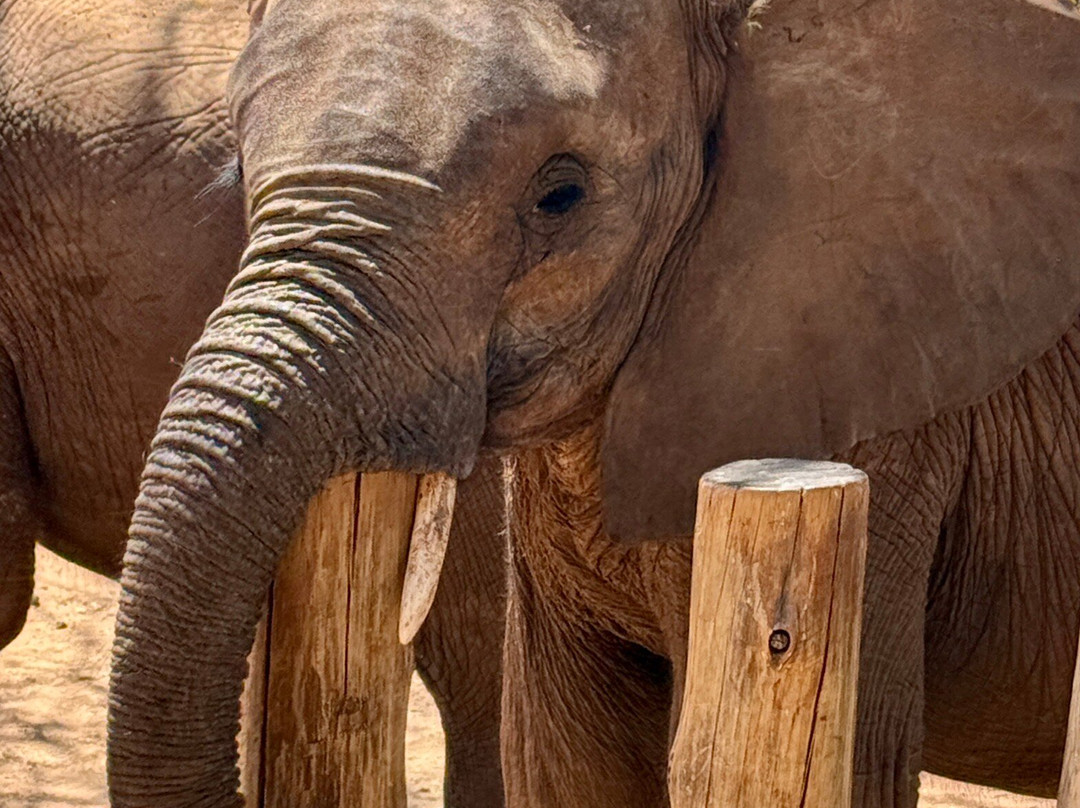 Reteti Elephant Sanctuary-桑布鲁国家保护区必去景点