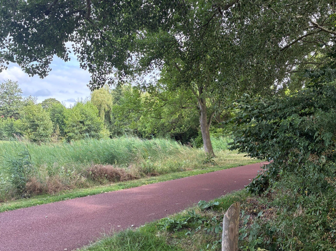 Park Oudorperhout Alkmaar