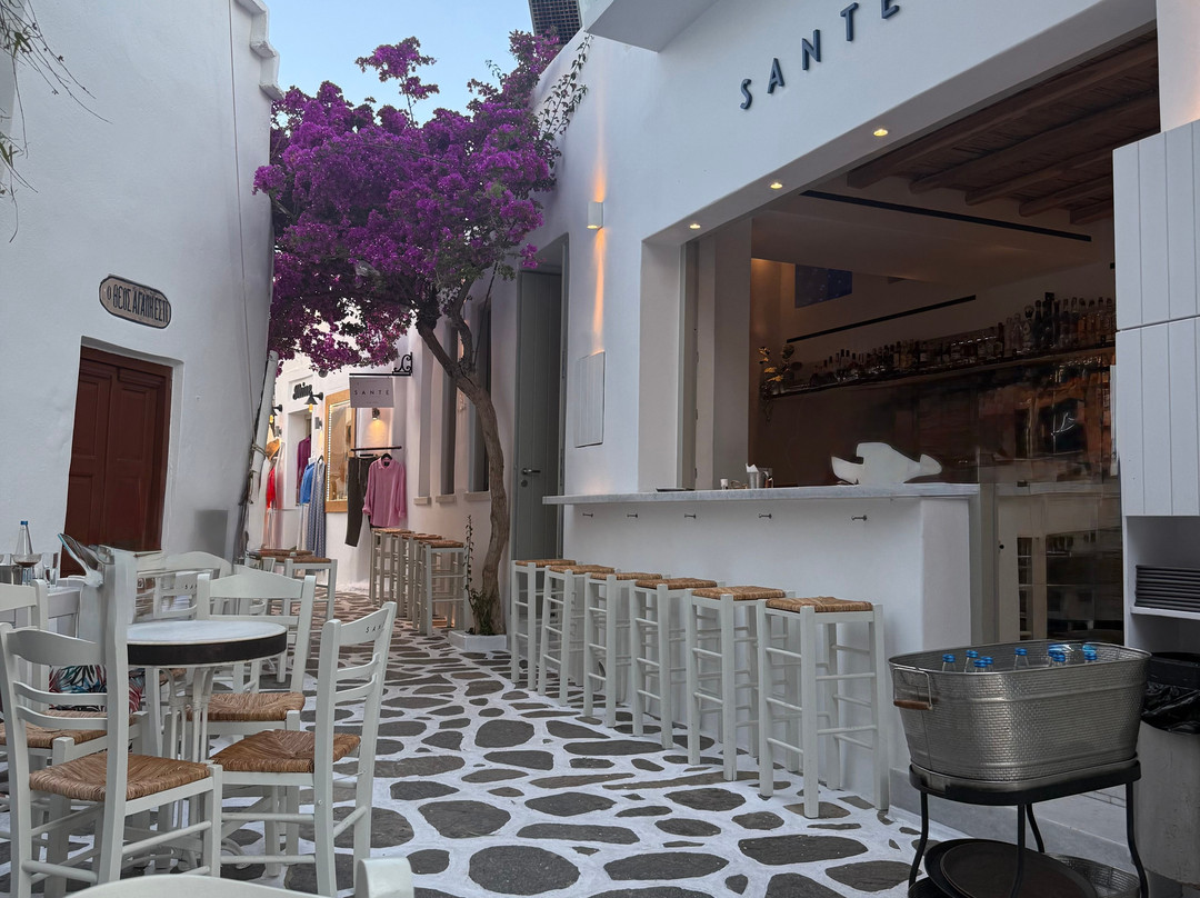 Sante Cocktail Bar-纳乌萨必去景点