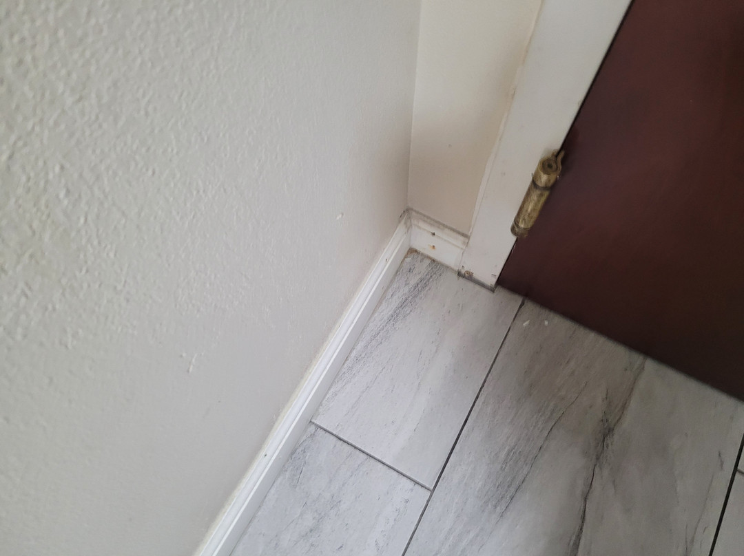 查塔努加蔚景温德姆酒店主图