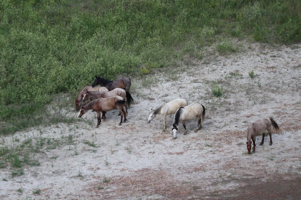 Theodore Roosevelt National Park-Medora必去景点