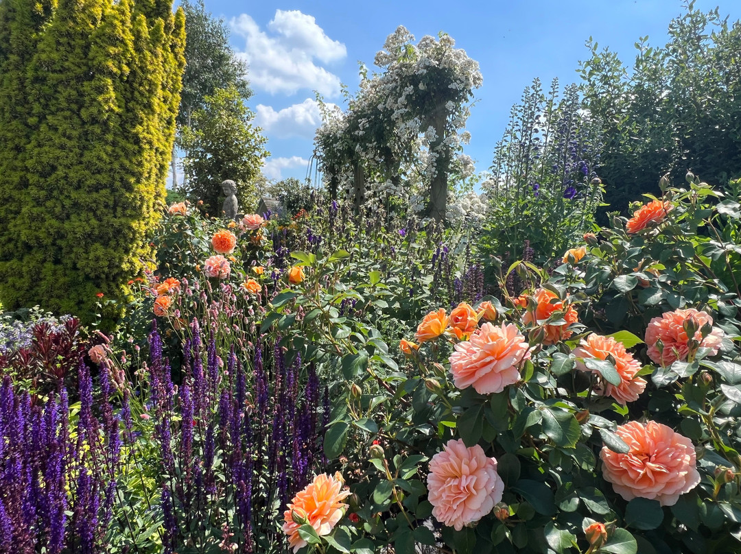 Thornton Hall Gardens-达灵顿必去景点