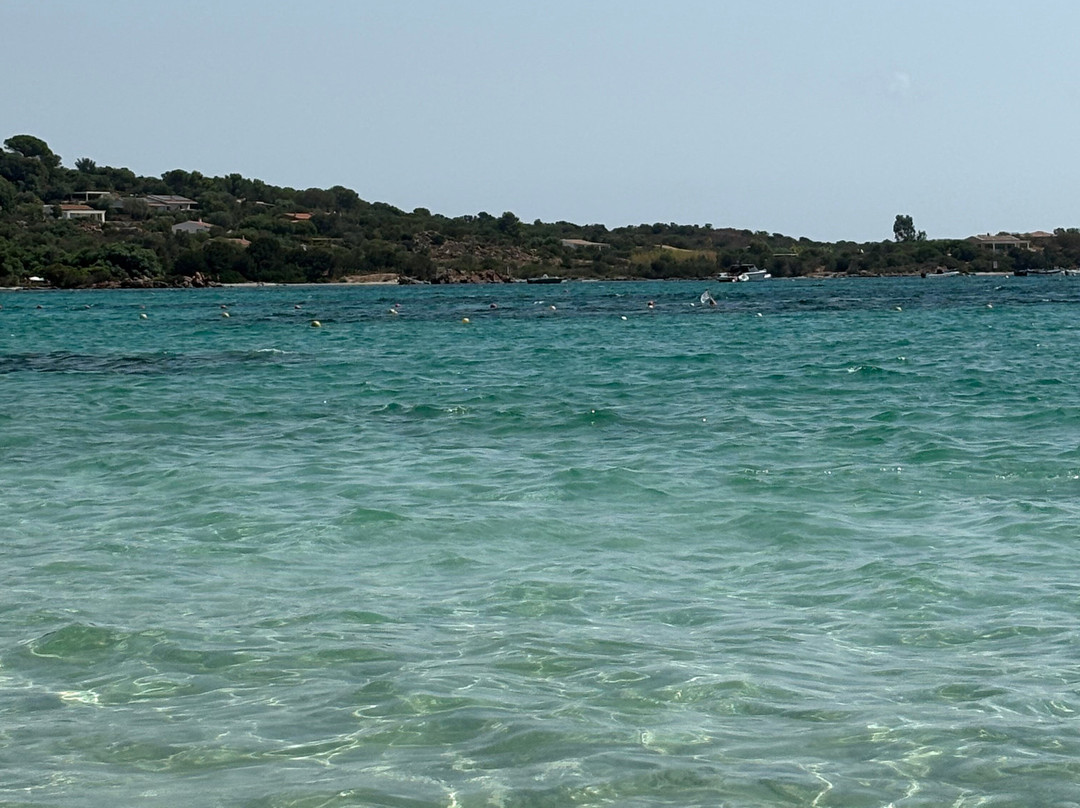 Porto Istana Beach-奥尔比亚必去景点