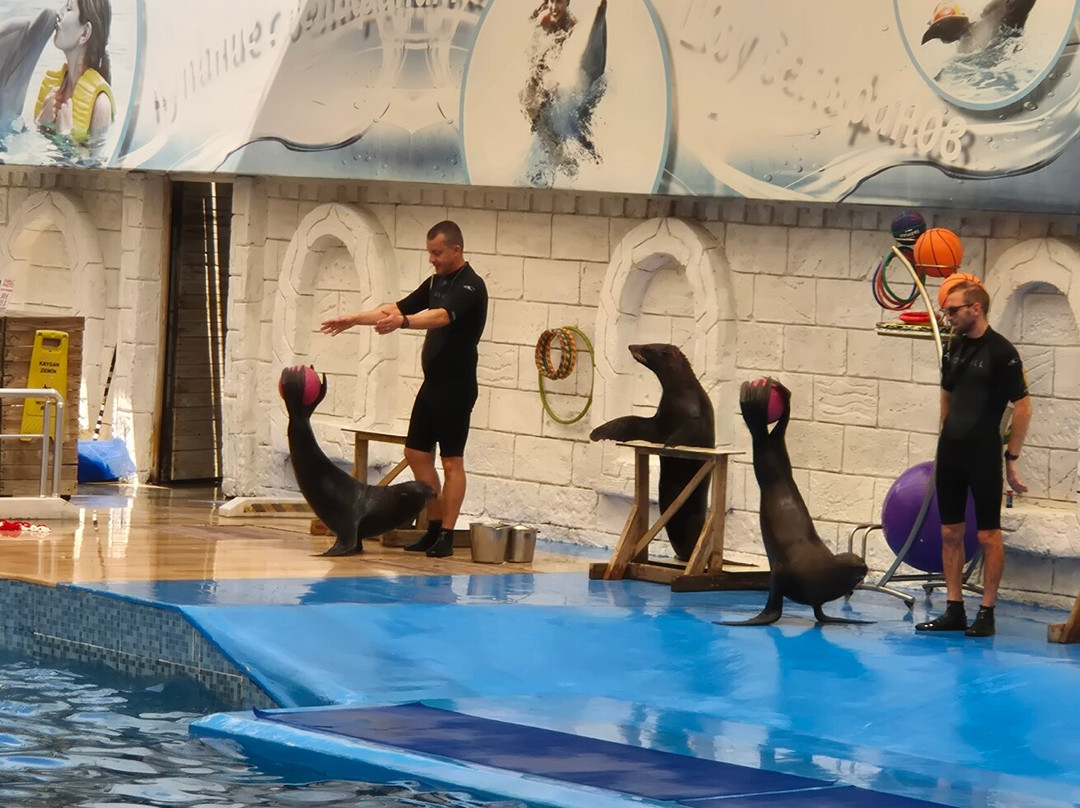 Aksu Dolphinarium-安塔利亚必去景点