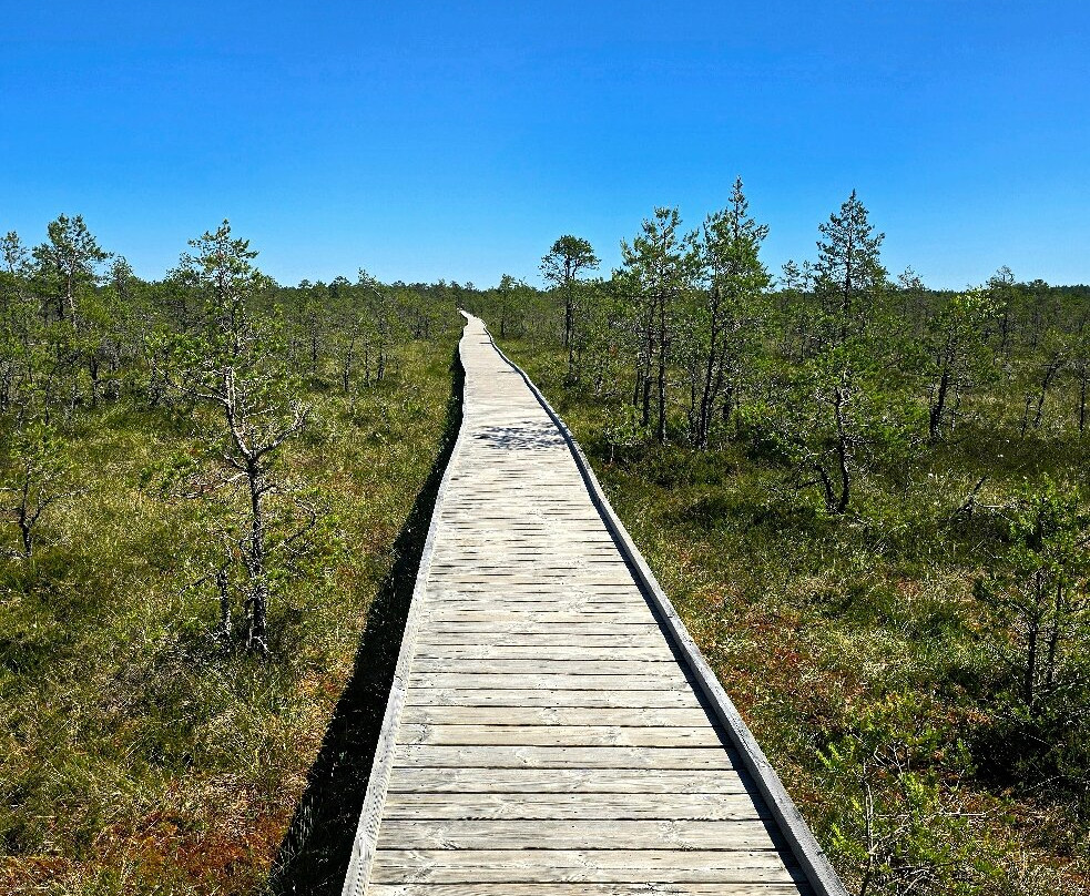 Viru Bog Trail-Kolga必去景点