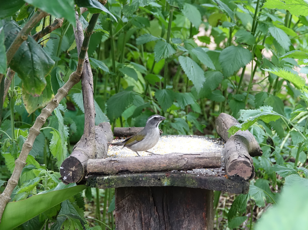 El Refugio De Colibríes-Samaipata必去景点