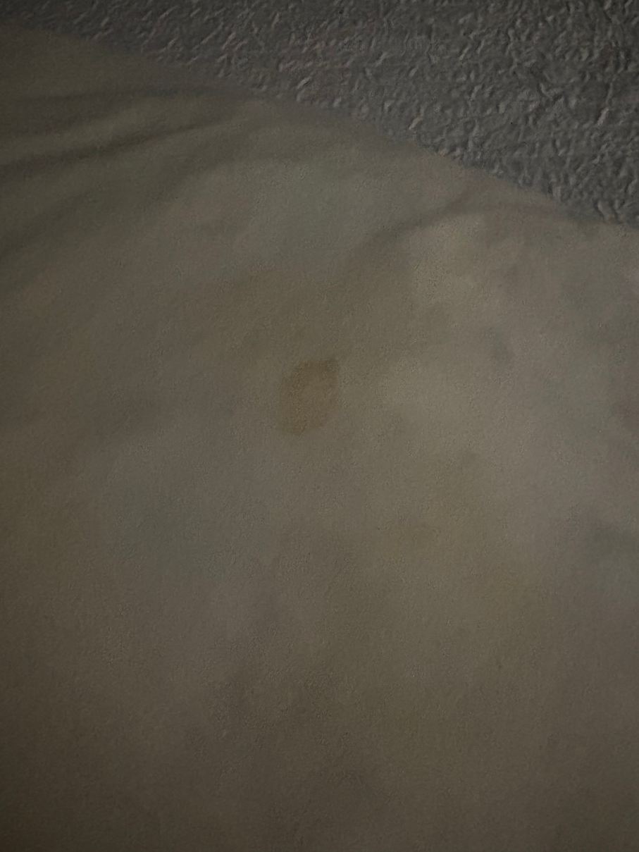 代弗尼贝斯特韦斯特优质套房酒店-旅行者