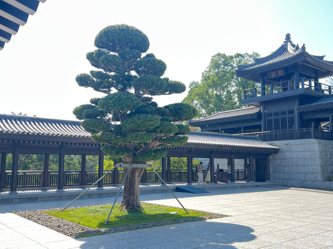 慈山寺-香港必去景点