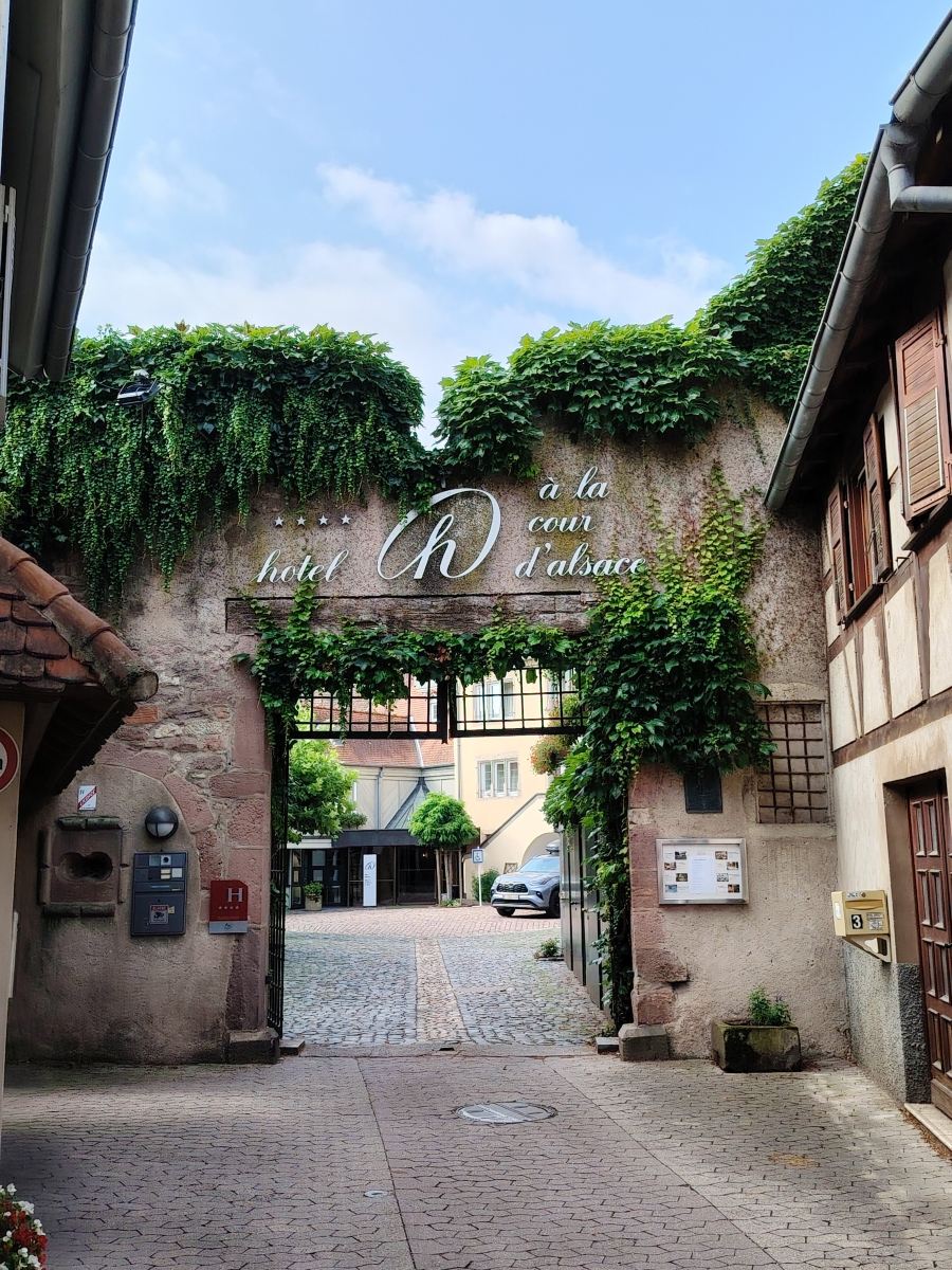 阿拉库尔酒店(Hotel & Spa A la cour d'Alsace by HappyCulture)-旅行者
