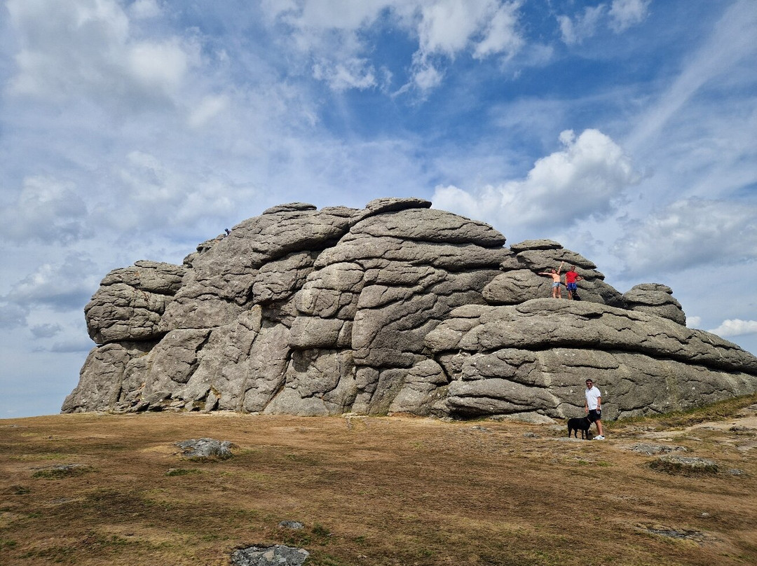 National Park Visitor Centre - Haytor-达特穆尔国家公园必去景点