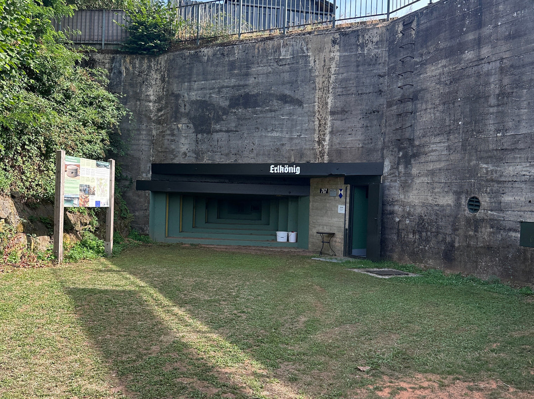 Bunker Wh 767-Beckingen必去景点