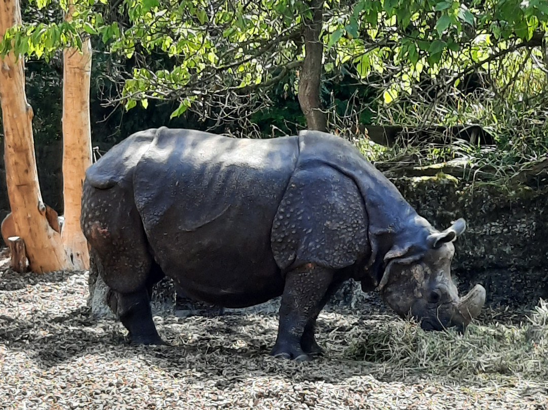 Zoo Basel-巴塞尔必去景点
