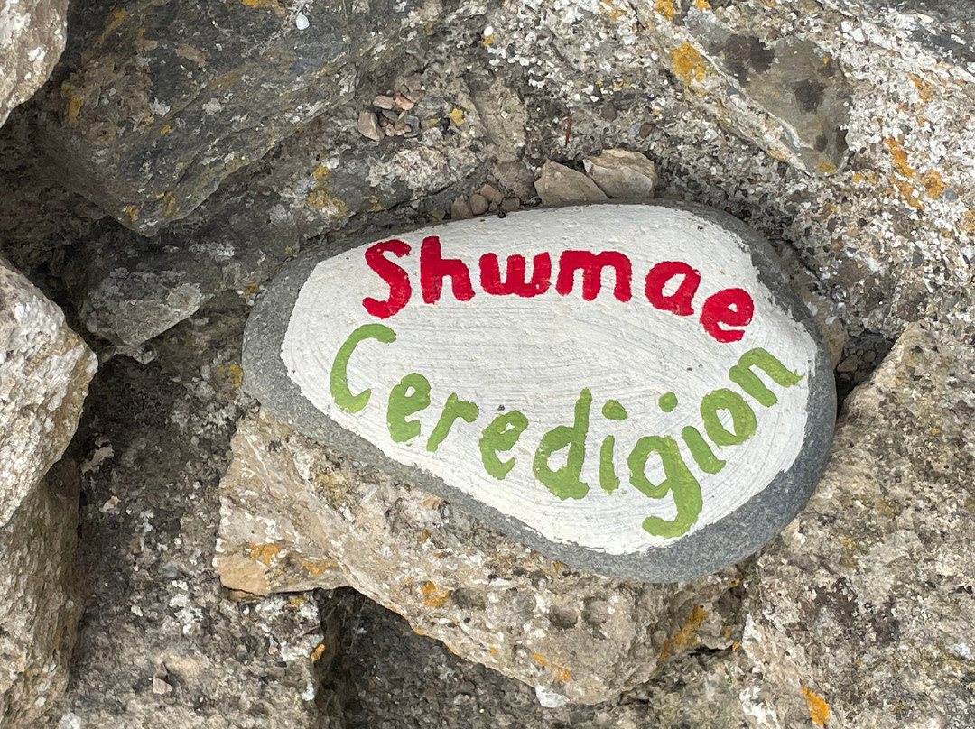 Strata Florida Abbey-Tregaron必去景点