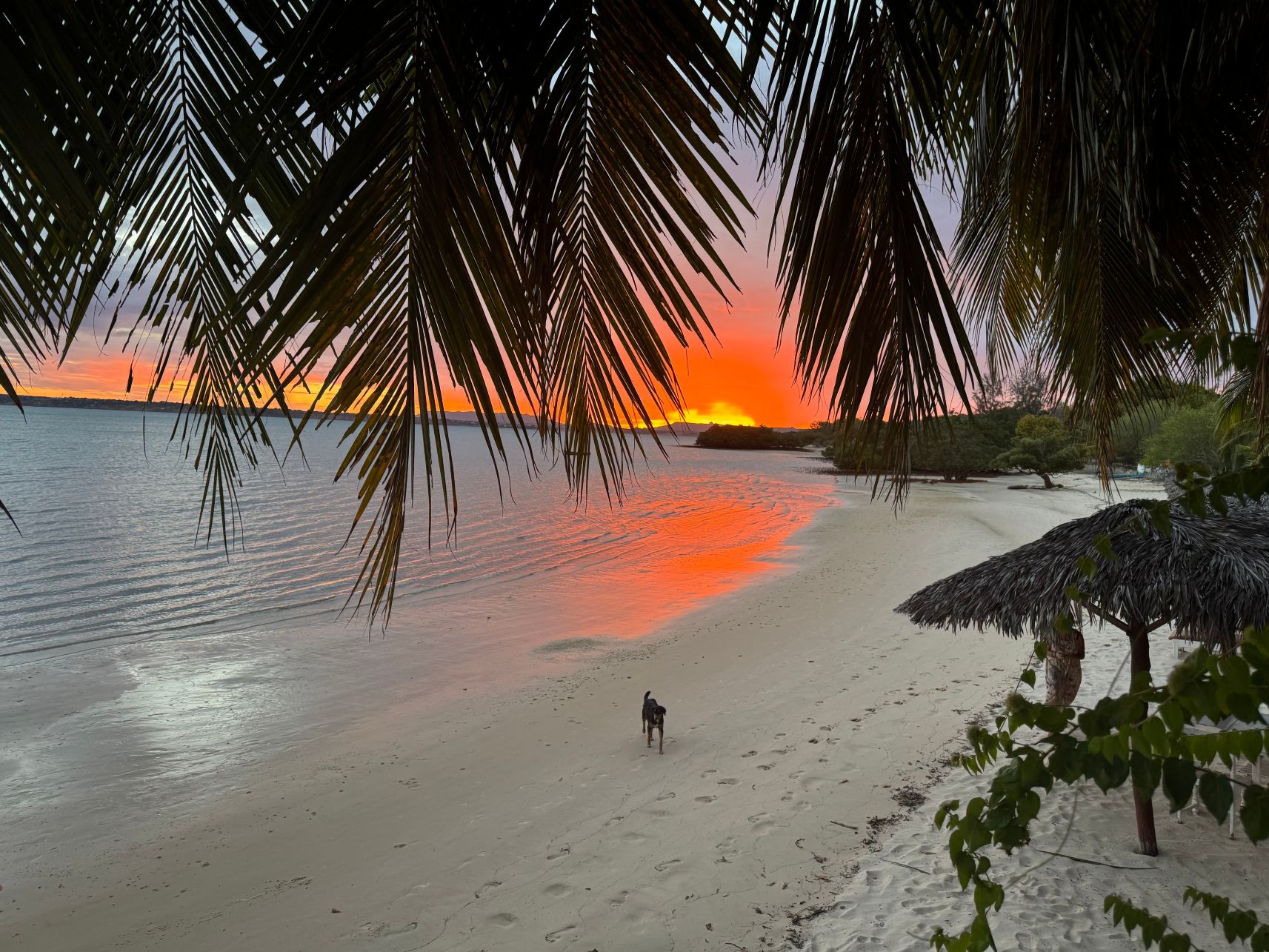Hotel Meva Plage-旅行者