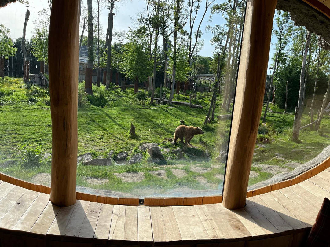 Pairi Daiza Resort主图