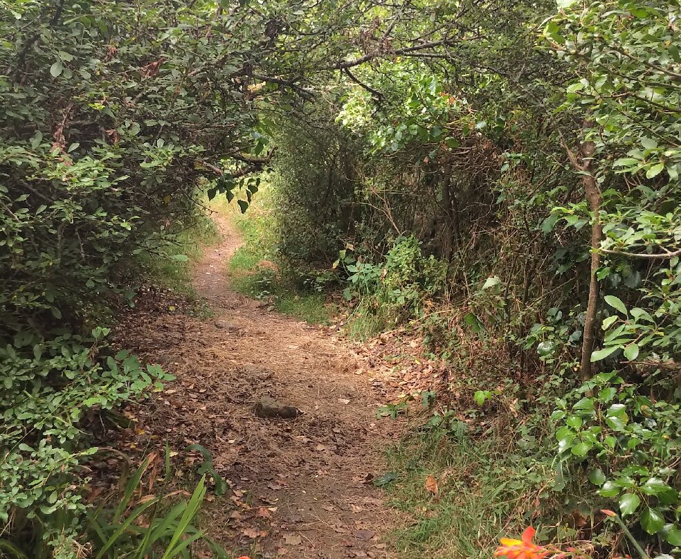 Boscawen-un Stone Circle-彭赞斯必去景点