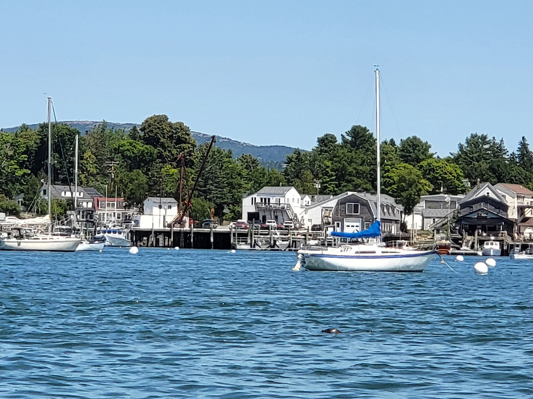Sail Acadia-Southwest Harbor必去景点