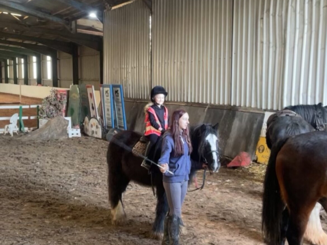 Orchard Farm Equestrian-斯凯格内斯必去景点