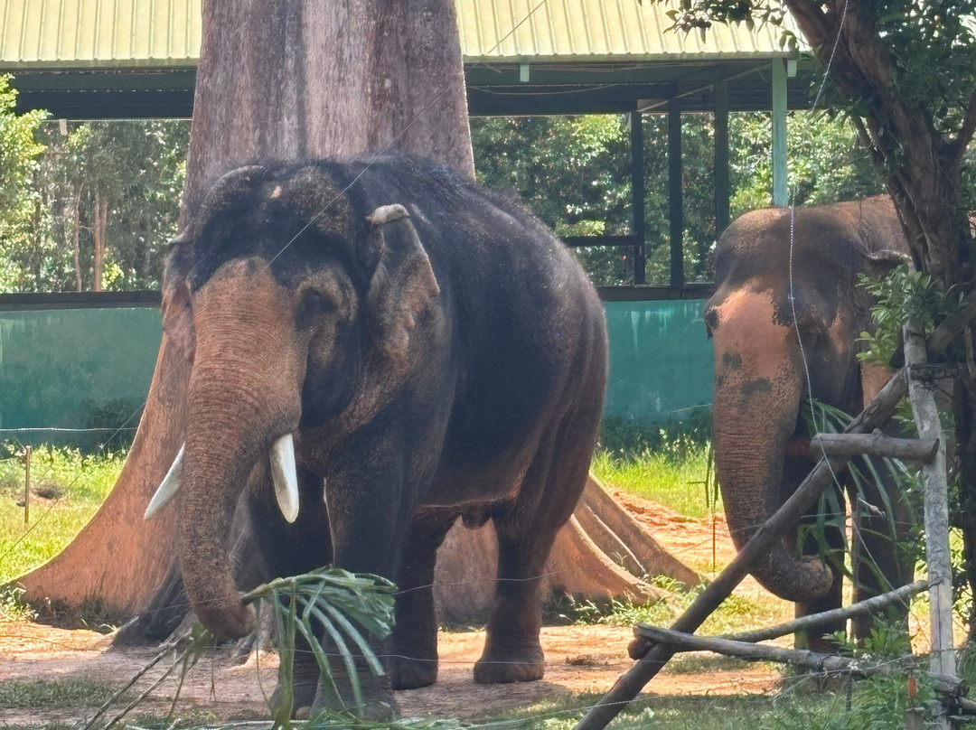 珍珠王国野生动物园-富国岛必去景点