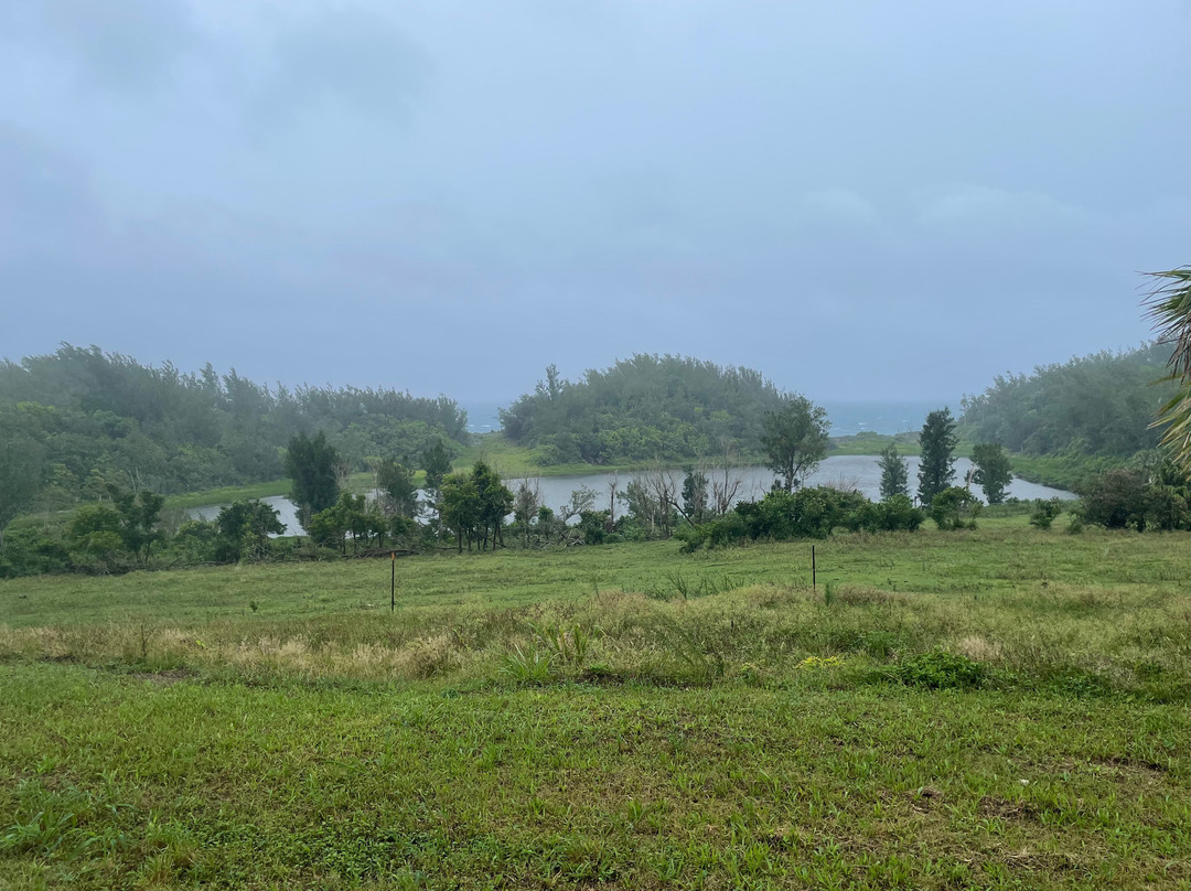 Spittal Pond Nature Reserve-百慕大必去景点