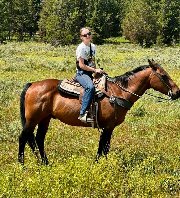 Yellowstone Horses - Eagle Ridge Ranch-艾兰帕克必去景点