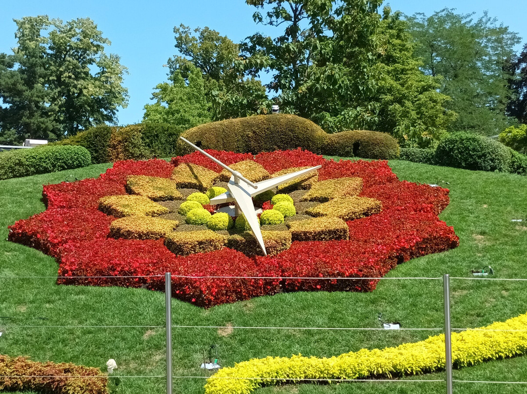 The Flower Clock-日内瓦必去景点