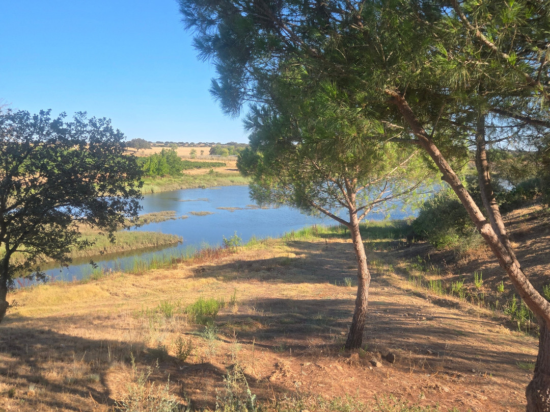 Herdade do Sobroso-Vidigueira必去景点