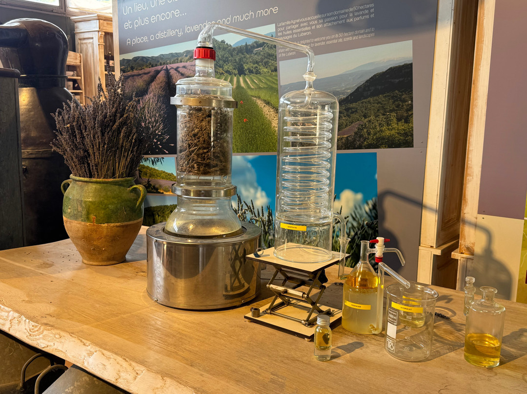 Les Agnels Distillerie de Lavande-Apt必去景点